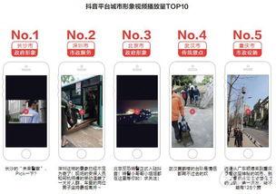 新媒体抖音网红培育,打造新媒体时代璀璨星辉