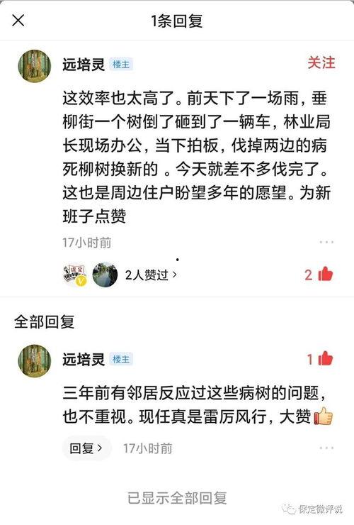 保定头条保定微评说,聚焦保定热点，解码城市脉搏