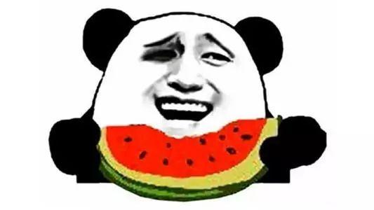 吃瓜群众兔子跳舞图片,趣味图片背后的欢乐瞬间