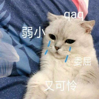 明星个性的表情,揭秘明星个性表情背后的魅力