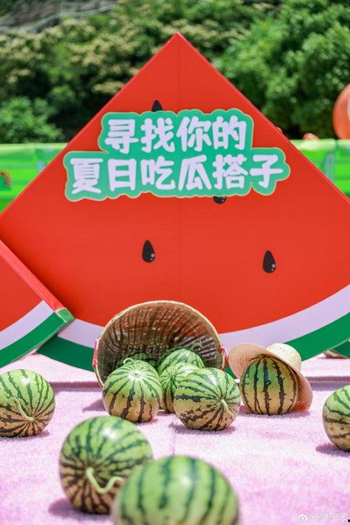 快乐吃瓜路,揭秘娱乐圈幕后故事