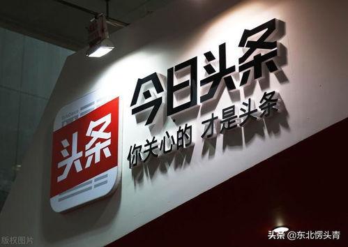 怎样去今日头条上班,如何成功入职这个热门互联网公司