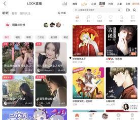 头条打赏记录怎么查看,揭秘内容创作者收益背后的故事