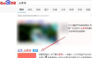 大连头条怎么开通小店,开启电商新篇章
