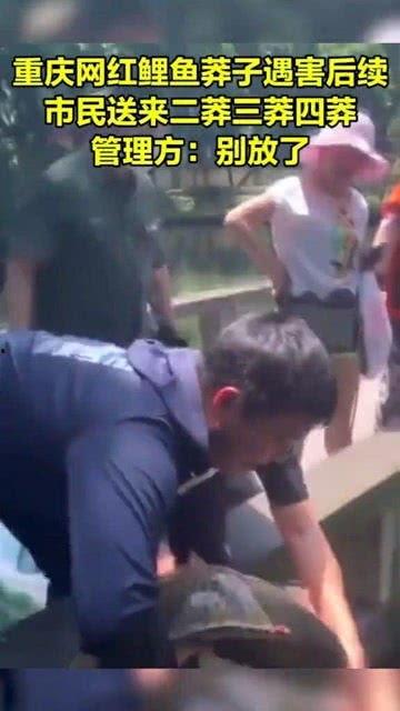 重庆网红鲤鱼莽子视频,揭秘水下舞者背后的传奇故事