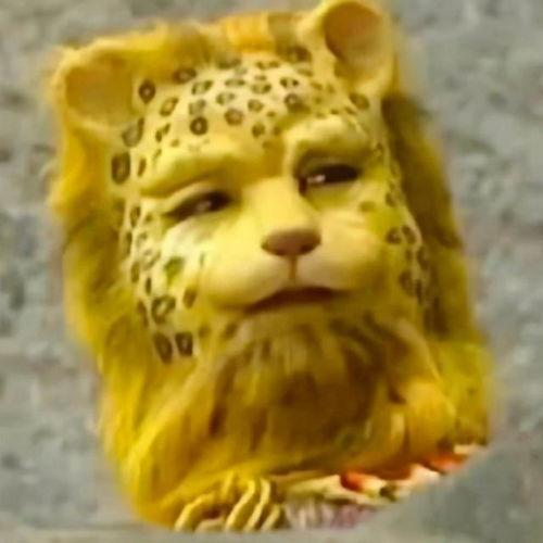 网红豹子头像卡通可爱,网红豹子头像的卡通可爱魅力