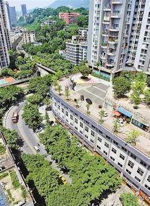 为什么滨江网红那么多,滨江网红现象背后的魅力解析