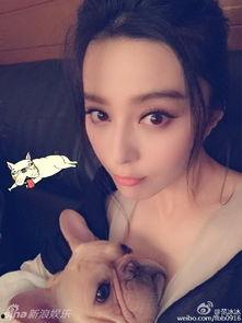 哪些明星受人关注过,揭秘那些曾引发热议的明星风采