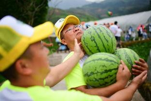 楼教练吃瓜,揭秘娱乐圈幕后故事