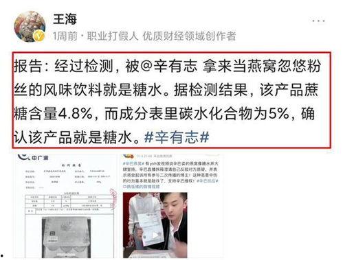 央视点名批评网红惠子,揭秘网络红人背后的争议与反思