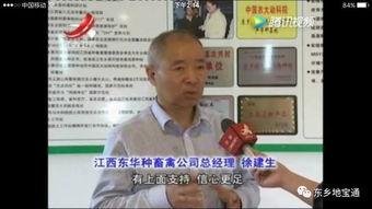 东乡贡安头条,聚焦乡村振兴，共筑美好家园