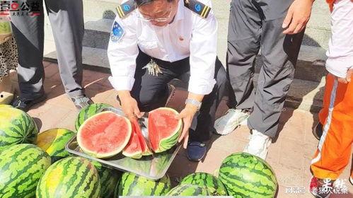 诸暨吃瓜网红事件视频,一场网络舆论的风暴与反思