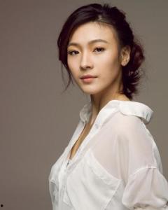 明星袁晶,星光璀璨的演艺之路