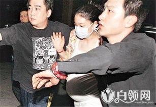 无耻狗仔爆料视频大全集,揭秘娱乐圈幕后真相