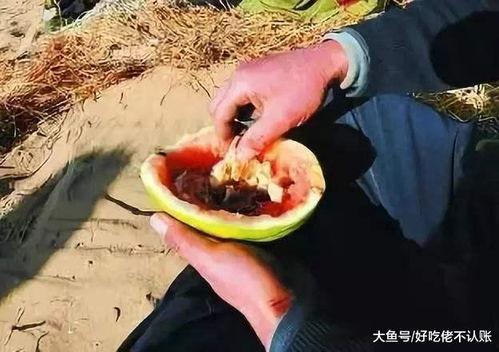 吃瓜新花样图,图解创意吃瓜新花样