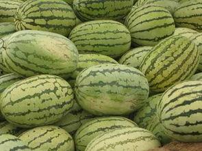 信阳吃瓜公司,揭秘当地特色美食背后的故事