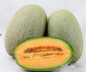 吃哈密瓜多久可以吃虾皮,揭秘最佳食用时间搭配