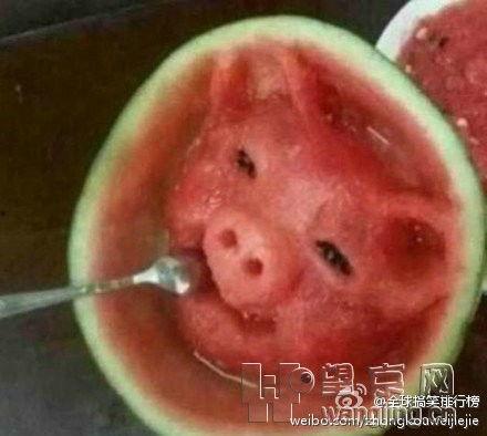 吃瓜二师兄,揭秘娱乐圈背后的那些事儿