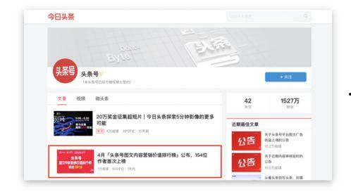 沙里金头条号,揭秘生活点滴，畅享智慧人生