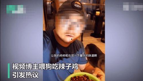 碎嘴子吃瓜博主,碎嘴子吃瓜博主的幕后故事