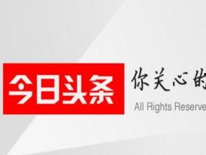 今日头条混凝土建筑招标,最新混凝土建筑招标项目盘点，行业动态一览无余