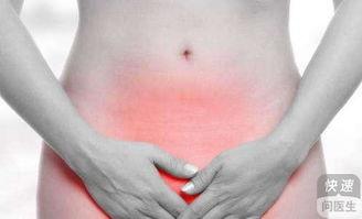 来月经可以吃毛瓜吃,助力健康养生