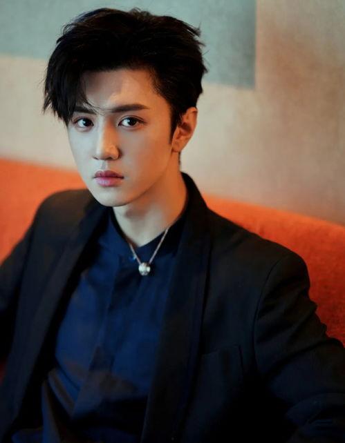 暗格娱乐八卦爆料陈哲远,暗格娱乐八卦揭秘，明星背后的故事