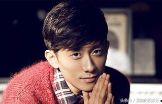 翻红男明星,重拾辉煌的璀璨之星