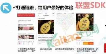 头条与淘宝联盟的区别,营销策略差异解析